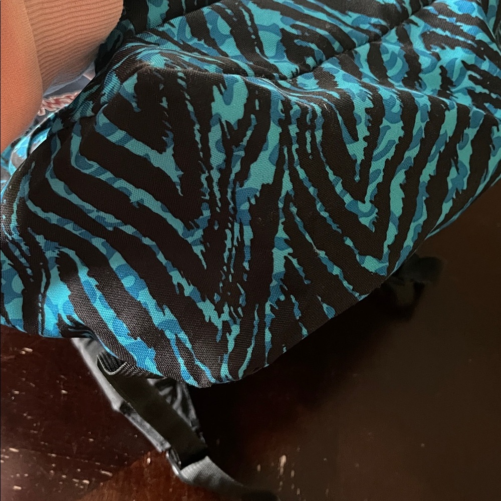 Unisex JanSport light weight Teal and Black Striped Backpack - Picture 6 of 10